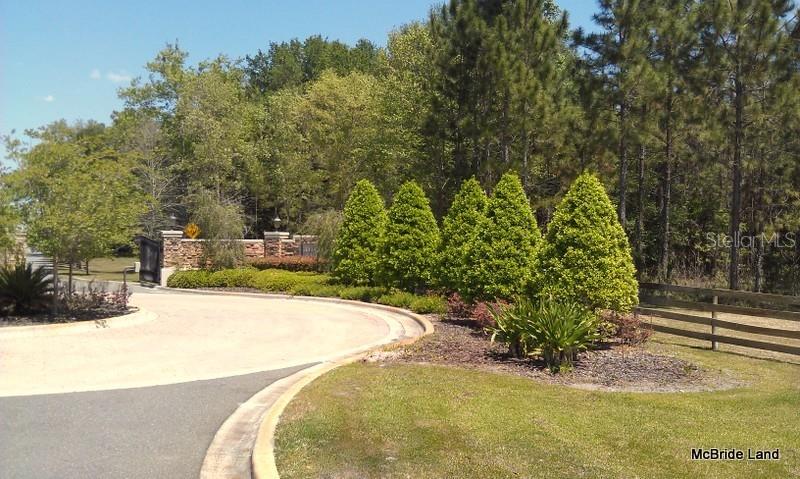 A paved driveway curves toward a stone entrance gate surrounded by trees and landscaping — 17001 SW HIGHWAY 484, DUNNELLON, FL
