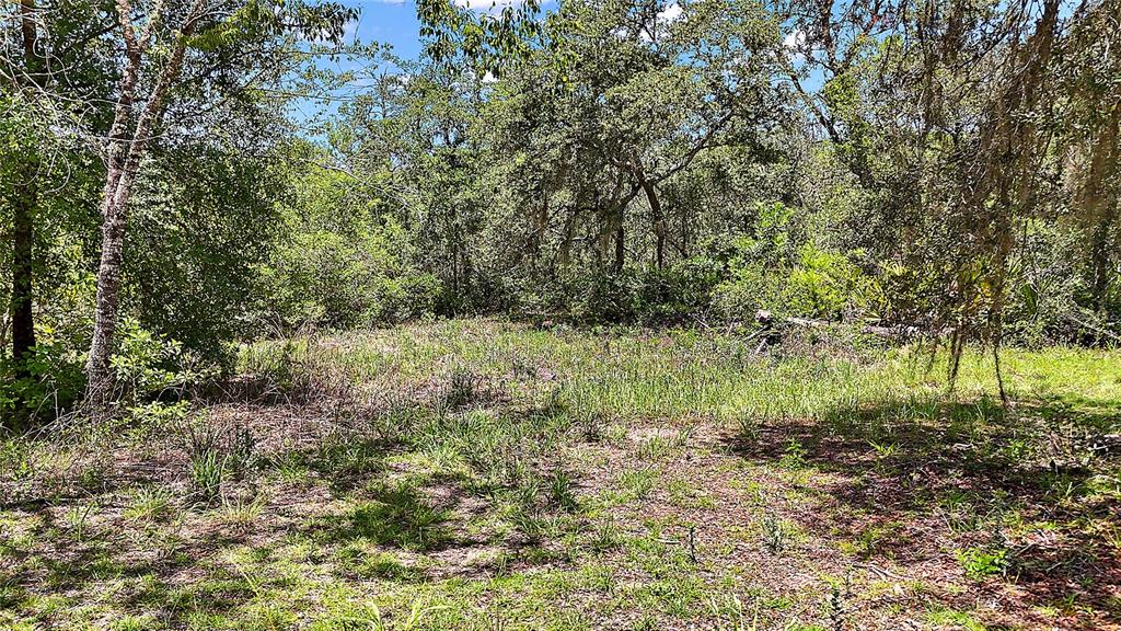A grassy, partially cleared lot is surrounded by dense trees and vegetation — 0 SE 197TH AVENUE, OCKLAWAHA, FL