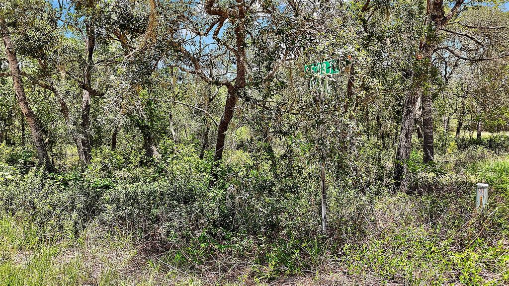 A wooded lot features a street sign and a utility pedestal amidst dense vegetation — 0 SE 197TH AVENUE, OCKLAWAHA, FL