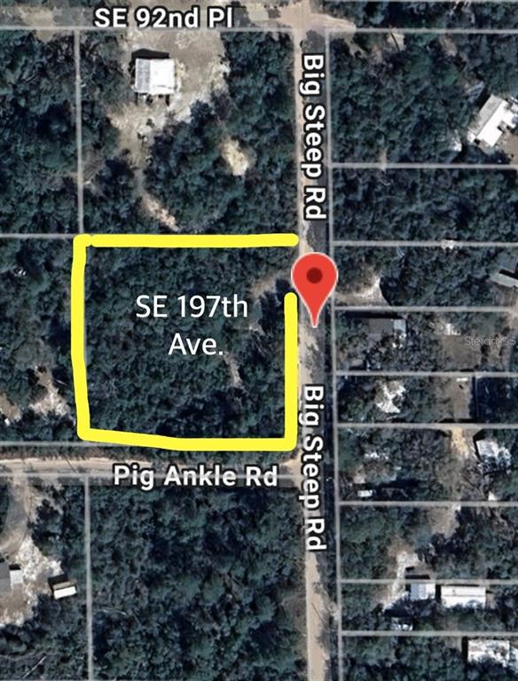 This is a satellite map view showing a wooded, rectangular plot of land — 0 SE 197TH AVENUE, OCKLAWAHA, FL