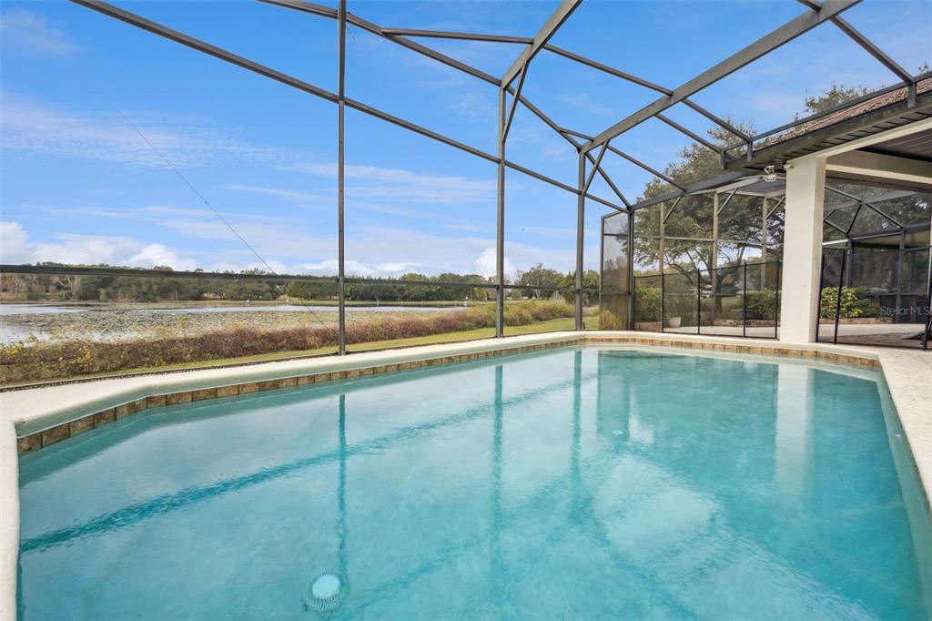 A swimming pool sits inside a screened-in lanai overlooking a lake — 19949 S BUCKHILL ROAD, CLERMONT, FL