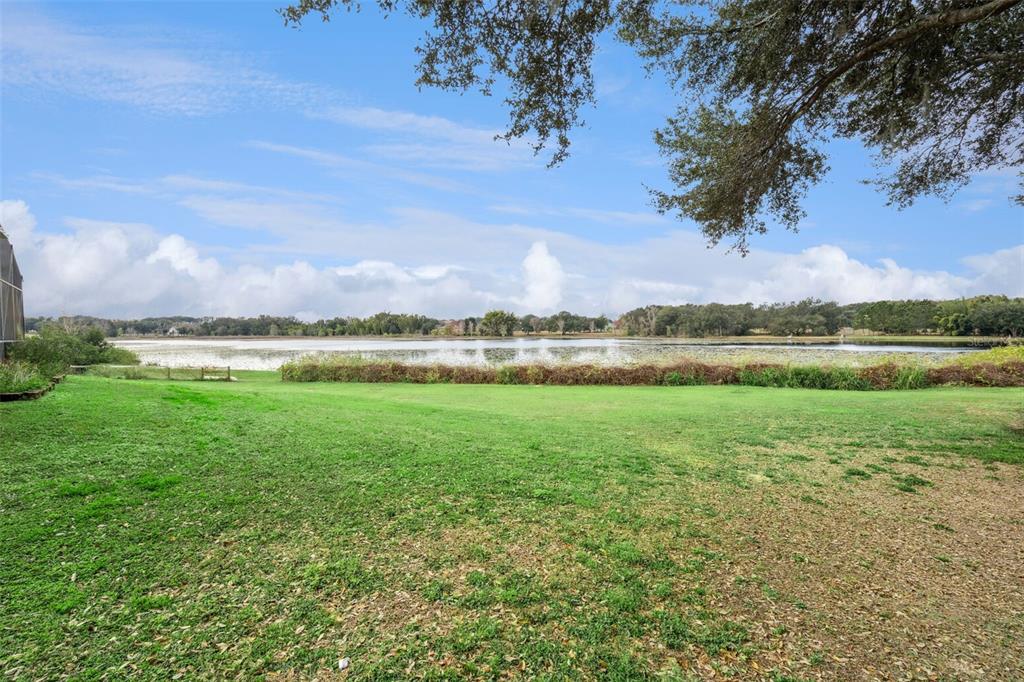 A grassy backyard leads to a lake under a blue sky with scattered clouds — 19949 S BUCKHILL ROAD, CLERMONT, FL