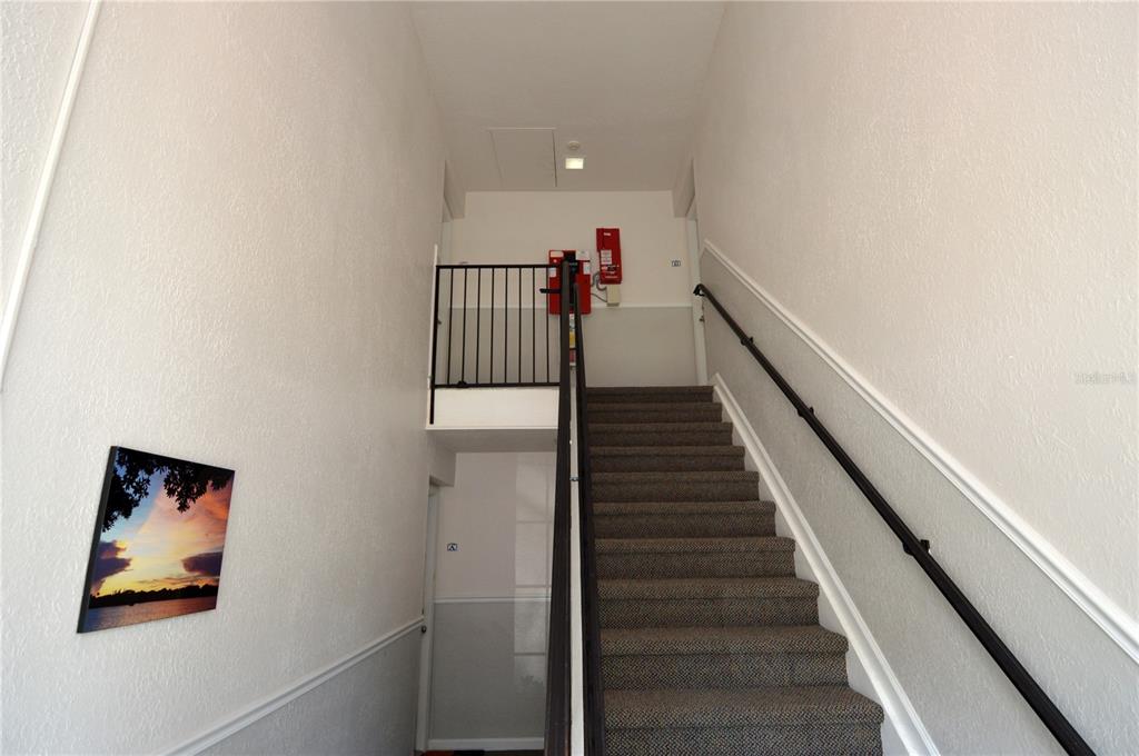 A carpeted staircase leads to an upper landing with a black metal railing — 3889 POMPANO DRIVE SE UNIT C, ST PETERSBURG, FL