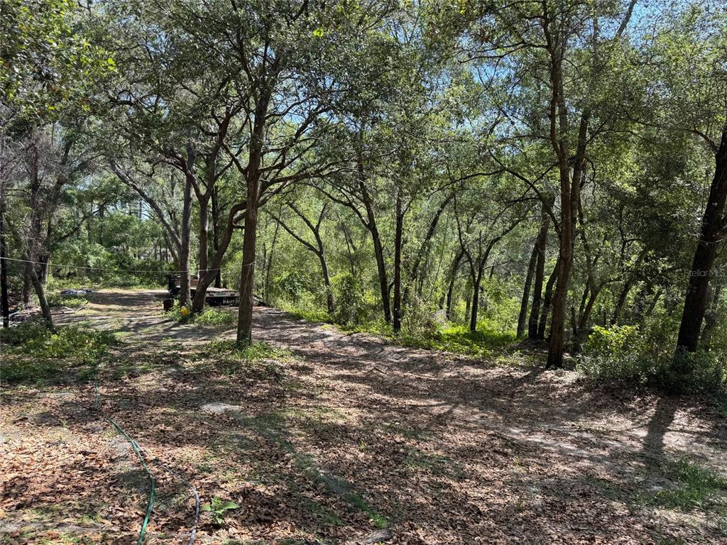 16137 SE 34TH PLACE, OCKLAWAHA, FL — photo 3 of 9