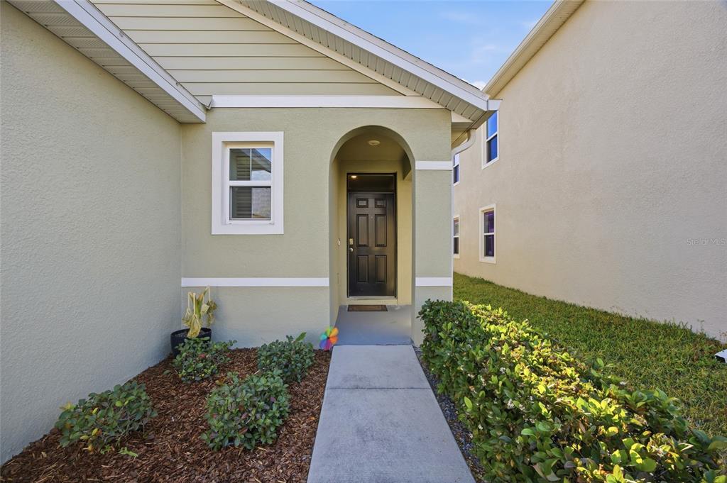 A concrete walkway leads to the front door of a light green house — 8204 PELICAN REED CIRCLE, WESLEY CHAPEL, FL