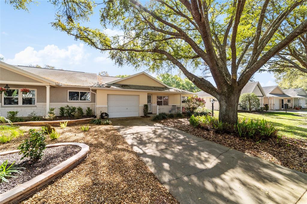 A single-story house with a garage, a concrete driveway, and a large tree in front — 9725 SW 94 TERRACE UNIT C, OCALA, FL