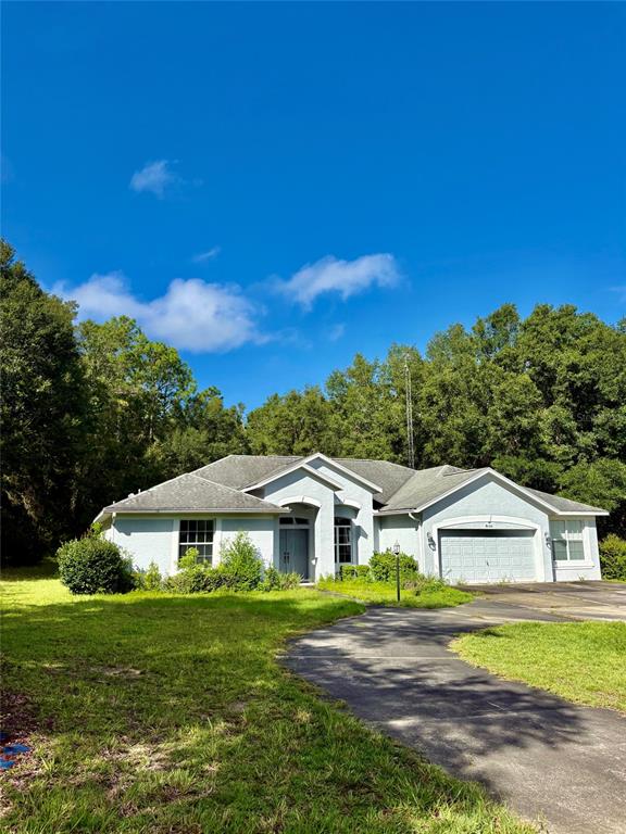 A single-story house with a light-colored exterior, a two-car garage, and a paved driveway — 8680 SW 209TH COURT, DUNNELLON, FL