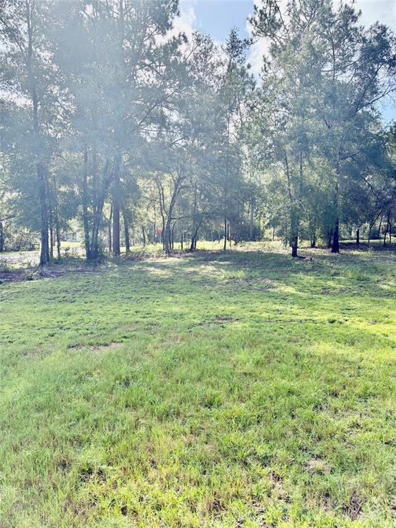A grassy, partially wooded lot with tall trees under a bright, partly cloudy sky — 8680 SW 209TH COURT, DUNNELLON, FL