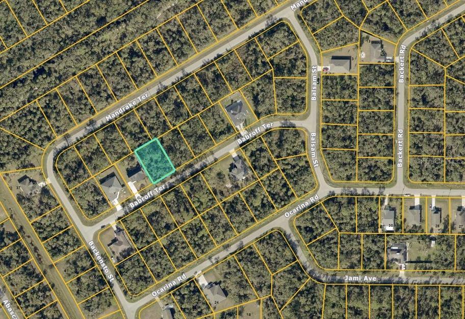 This is an aerial map showing a highlighted vacant residential lot on a suburban street — BABROFF TERRACE, NORTH PORT, FL