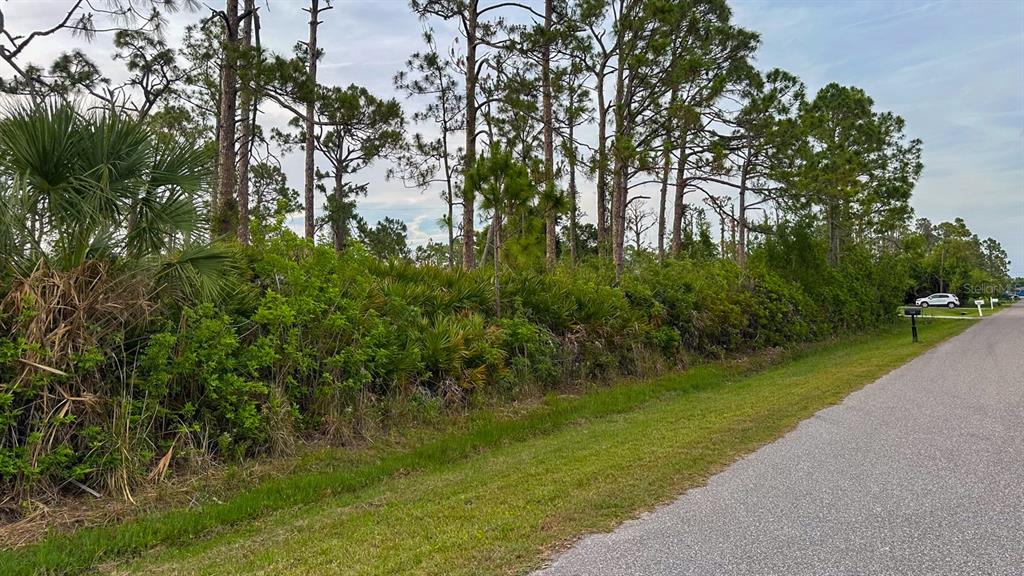 A paved road runs alongside a wooded lot with dense vegetation and tall pine trees — 5263 ELLSWORTH TERRACE, PORT CHARLOTTE, FL