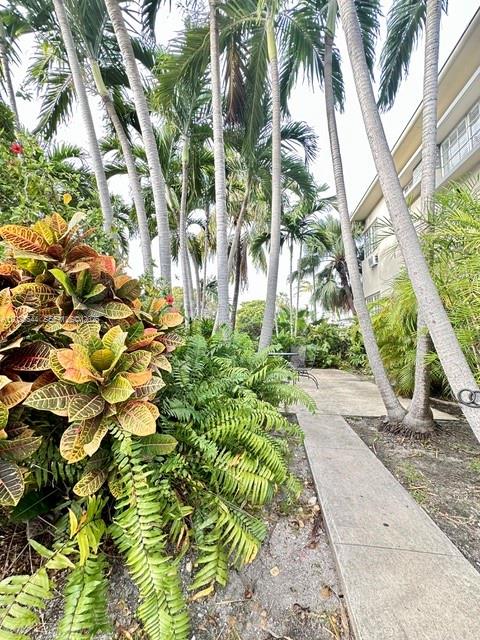 A paved walkway winds through a garden with palm trees and a large croton plant — 836 10th St # 7, Miami Beach FL 33139, MIAMI BEACH, FL
