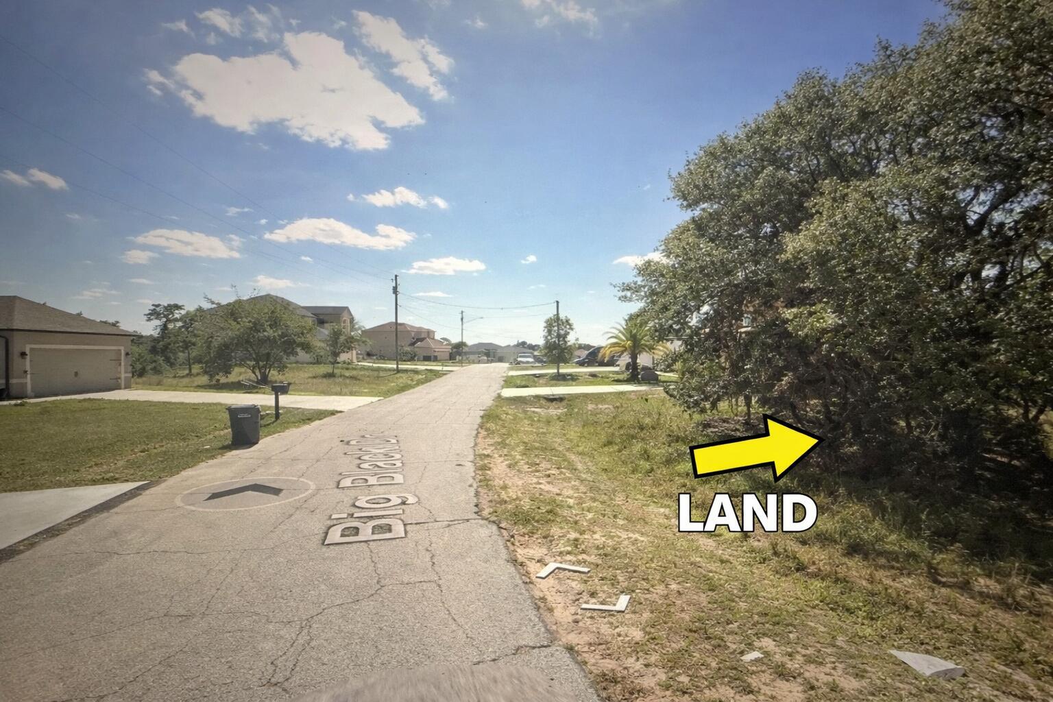 A street view shows a paved road with a wooded vacant lot on the right — 180 Big Black Drive, FL 34759, FL