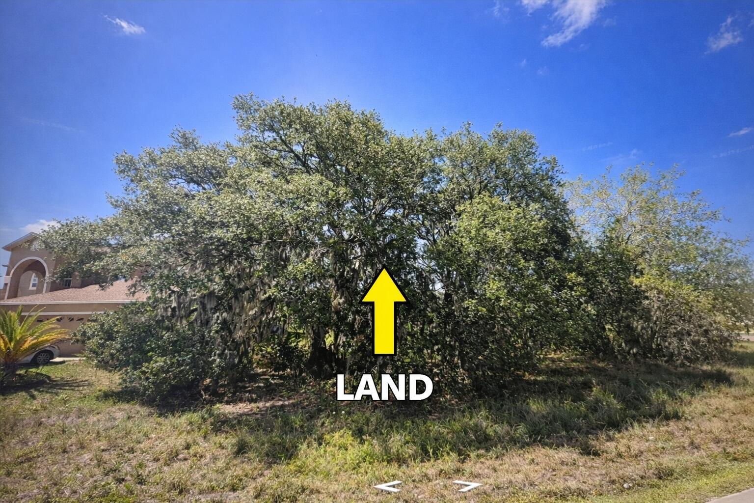 A large, mature tree stands on a grassy lot next to a residential house — 180 Big Black Drive, FL 34759, FL