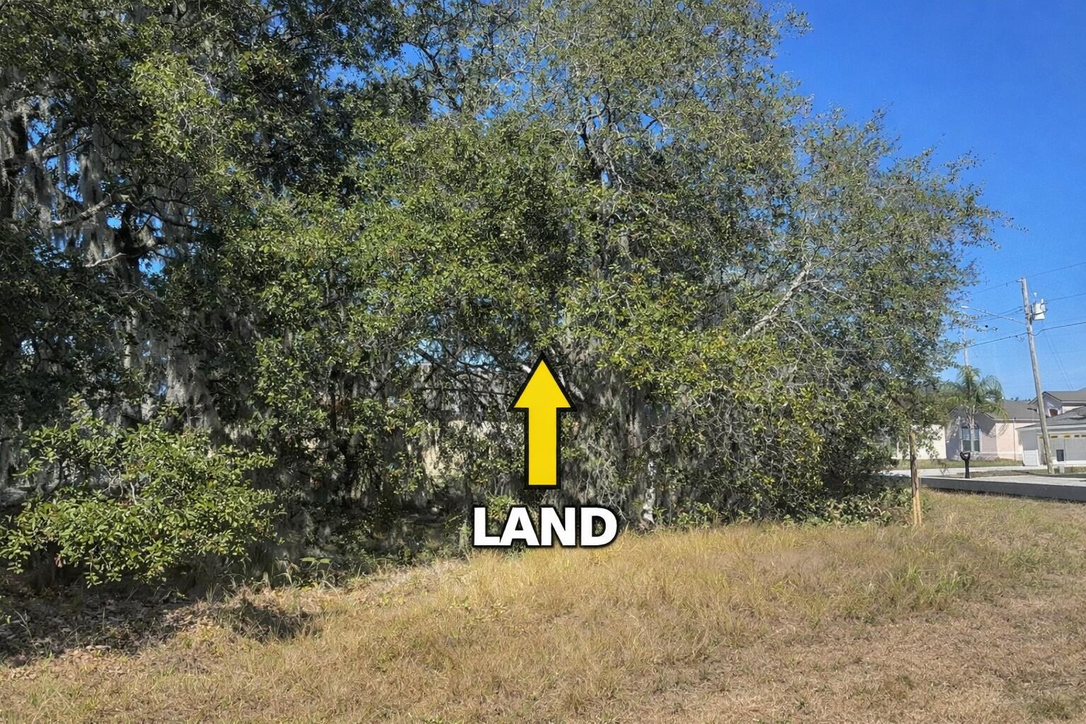 A grassy lot features a dense cluster of mature trees with hanging Spanish moss — 180 Big Black Drive, FL 34759, FL