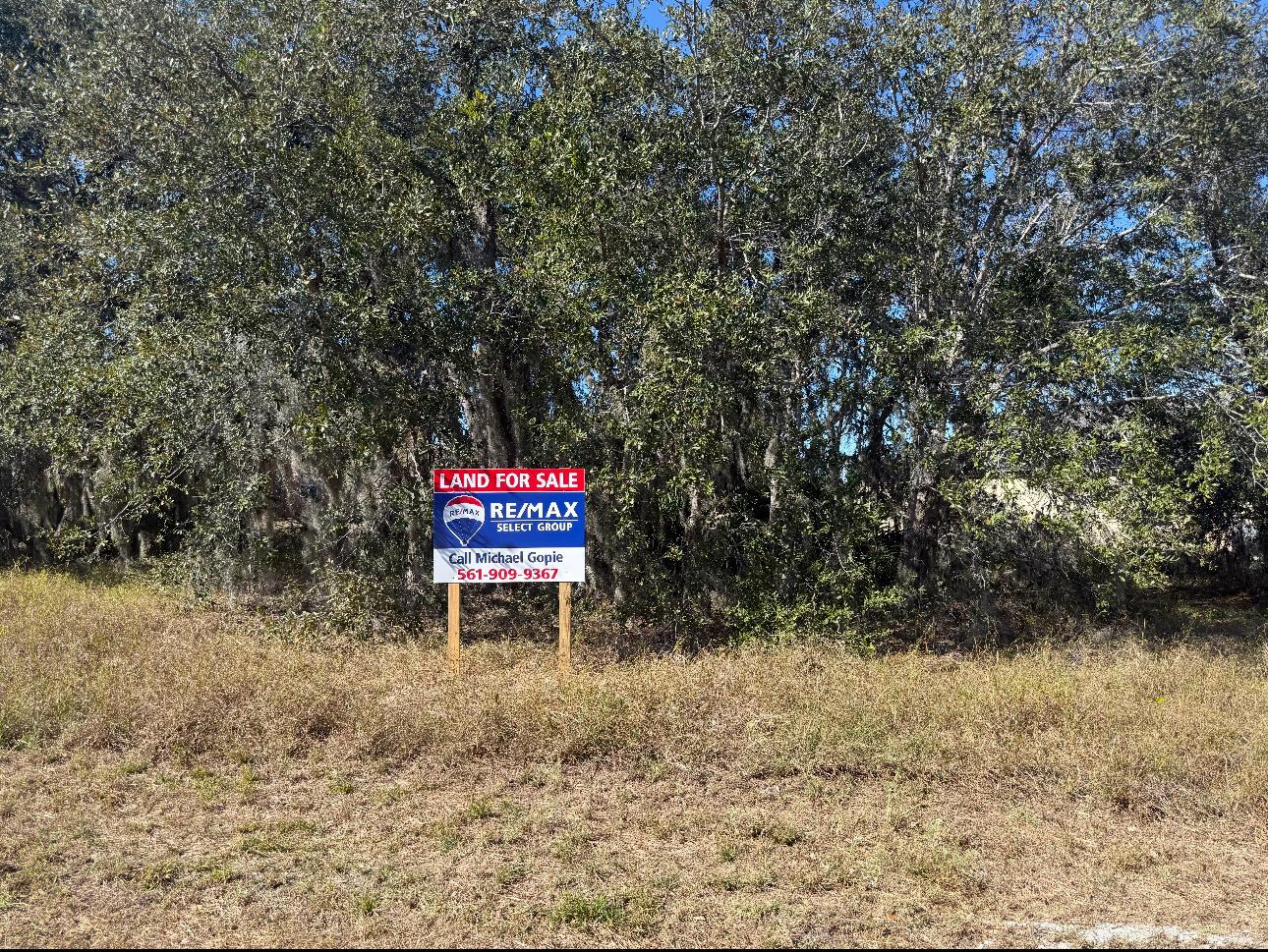 A RE/MAX real estate sign stands in front of a wooded lot with dry grass — 180 Big Black Drive, FL 34759, FL
