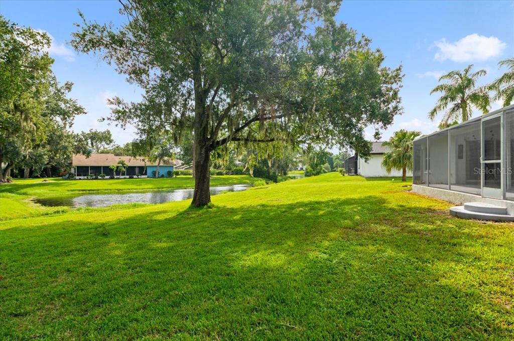 A grassy backyard features a large oak tree, a small pond, and a screened-in patio — 5438 DOMINICA CIRCLE, SARASOTA, FL