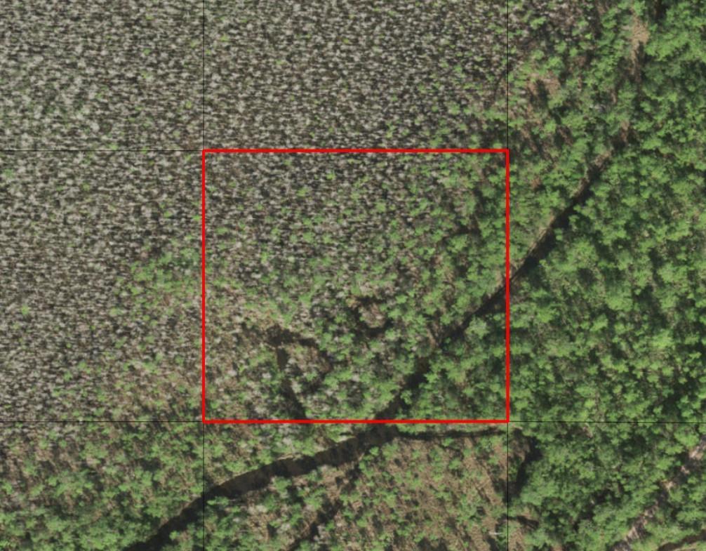 An aerial view shows a square plot of land with a mix of forest and clearing — 0 Holopaw Groves Road, FL 34772, FL