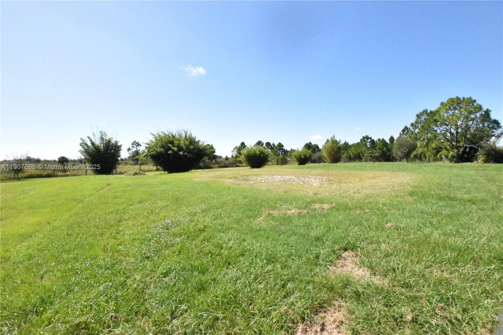 A wide, grassy field features scattered trees and bushes under a clear blue sky — 18036 NW 272, Okeechobee FL 34972, OKEECHOBEE, FL