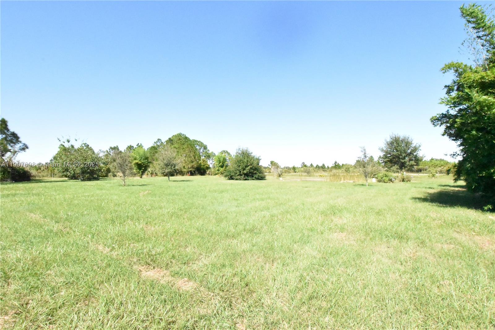 A wide, grassy field is surrounded by scattered trees under a clear blue sky — 18036 NW 272, Okeechobee FL 34972, OKEECHOBEE, FL