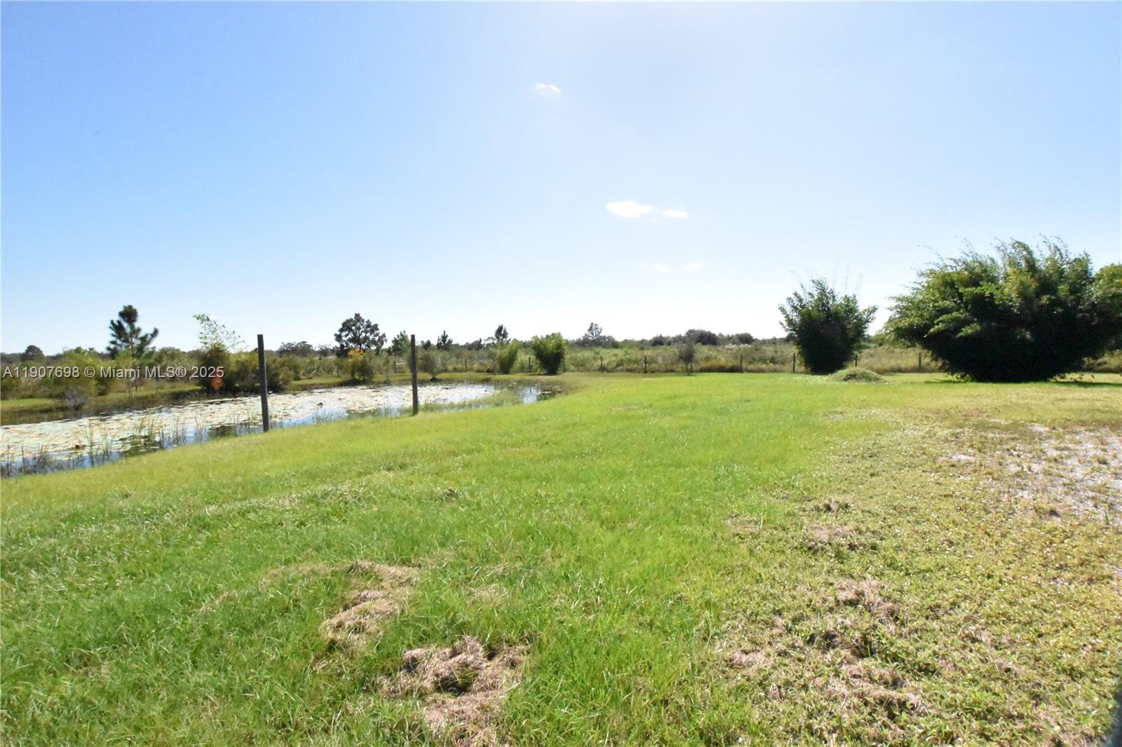 A grassy field features a small pond with lily pads under a clear blue sky — 18036 NW 272, Okeechobee FL 34972, OKEECHOBEE, FL