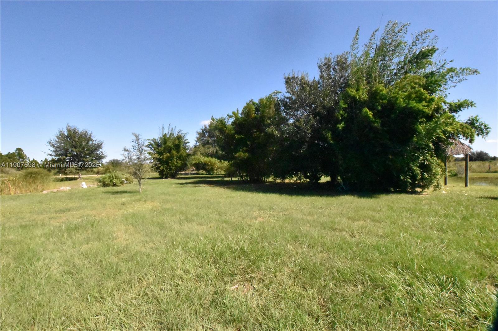 A large, grassy field features scattered trees and a small thatched-roof structure — 18036 NW 272, Okeechobee FL 34972, OKEECHOBEE, FL