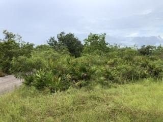 0 US Hwy 27, Lake Wales FL 33859