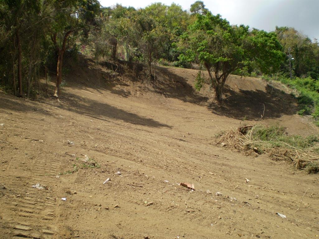 A sloped, cleared dirt lot with scattered trees and vegetation in the background — B LA ROCA DEVELOPMENT LOT 190, FAJARDO, PR