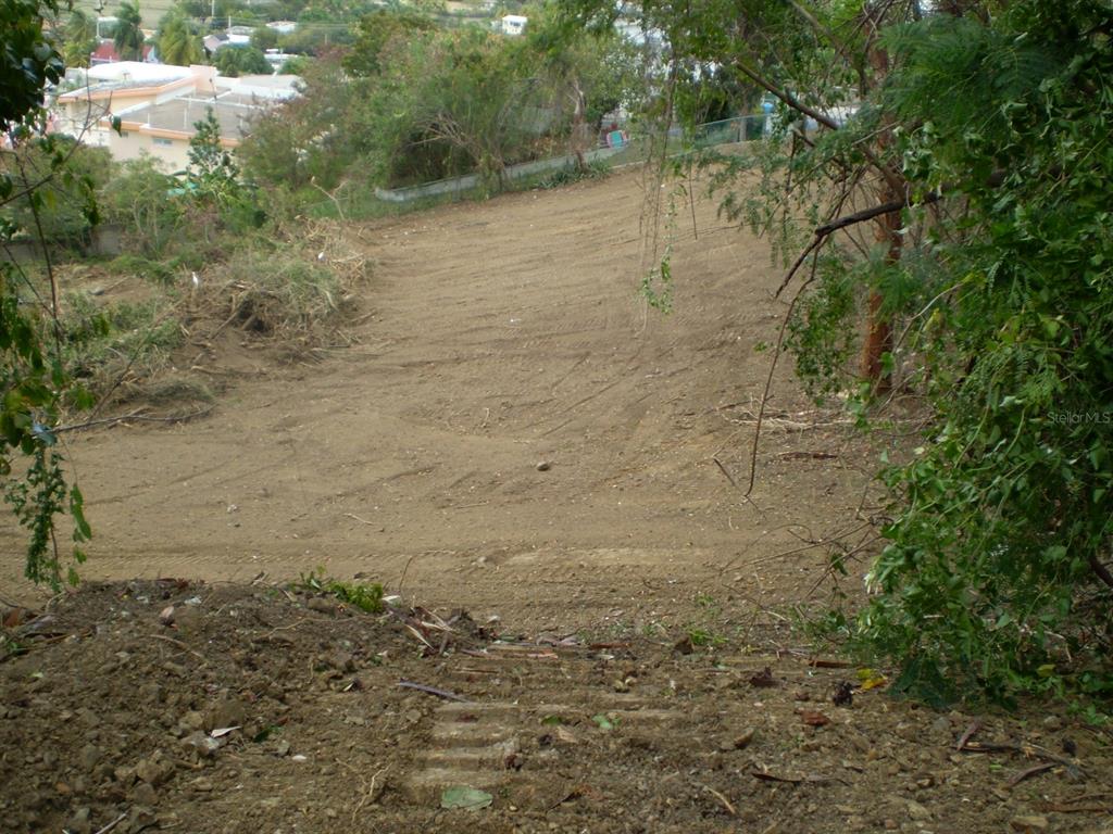 A cleared, sloped dirt lot is surrounded by trees with houses visible in the background — B LA ROCA DEVELOPMENT LOT 190, FAJARDO, PR