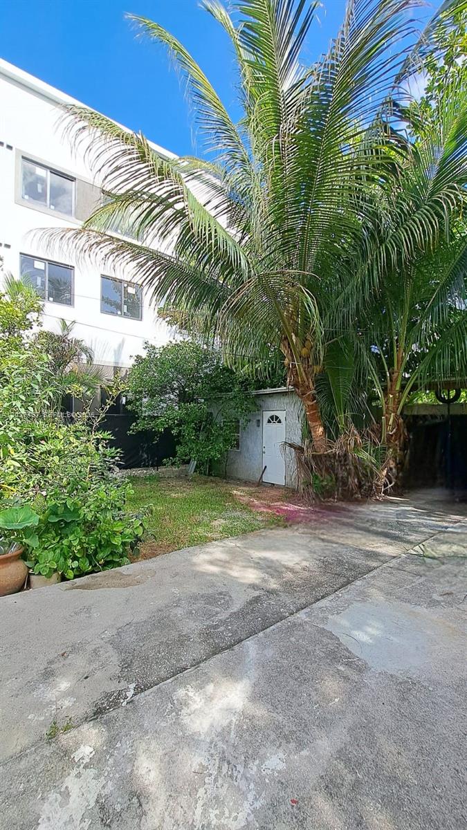 A concrete driveway leads to a small white building beside a large palm tree — 351 NW 31st St, Miami FL 33127, MIAMI, FL