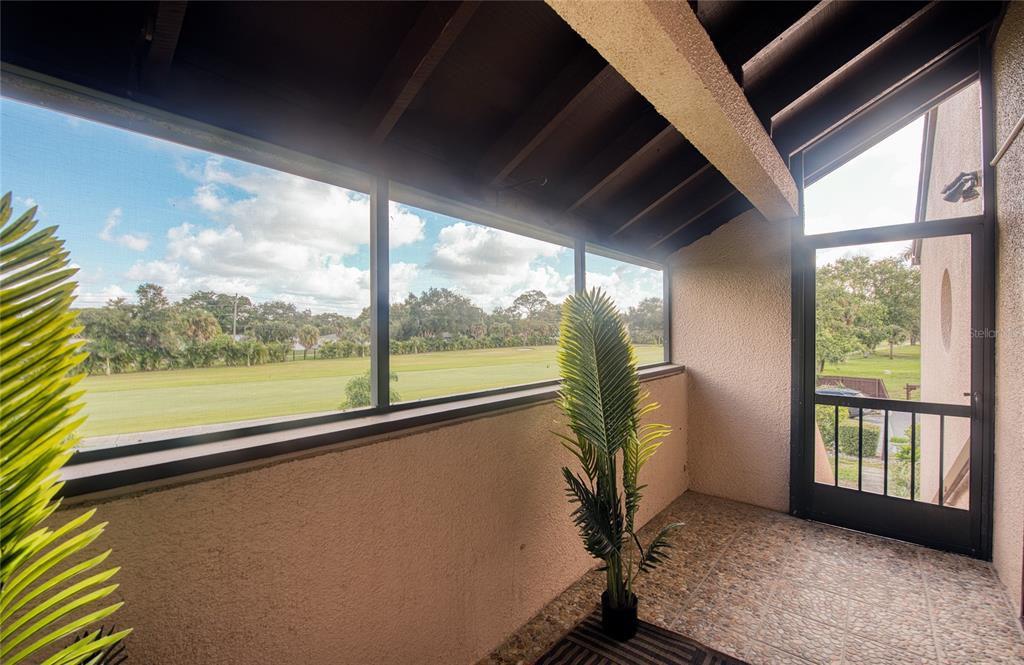 A covered patio features a brown wood-paneled wall, a patterned rug, and a large plant — 1328 PELICAN CREEK CROSSING UNIT D, ST PETERSBURG, FL