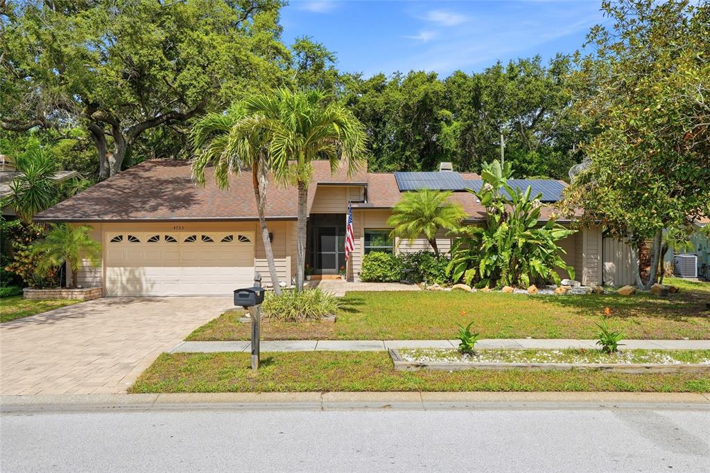 A single-story house with a paved driveway, solar panels, and palm trees in the front yard — 4733 LAKE VALENCIA BOULEVARD W, PALM HARBOR, FL