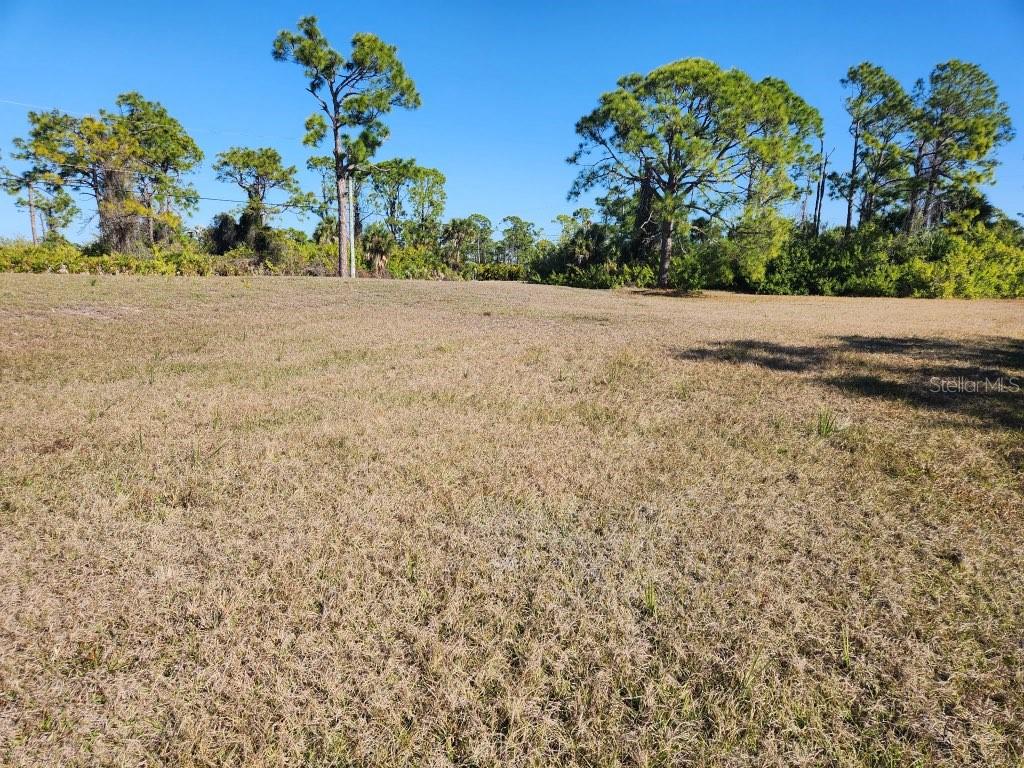 A wide, grassy, undeveloped lot features scattered pine trees under a clear blue sky — 155 JADE STREET, ROTONDA WEST, FL