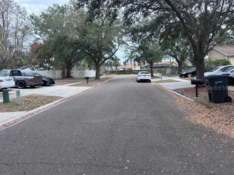 A residential street with parked cars, mature trees, and a trash bin on the right — 1451 MOHRLAKE DRIVE, BRANDON, FL