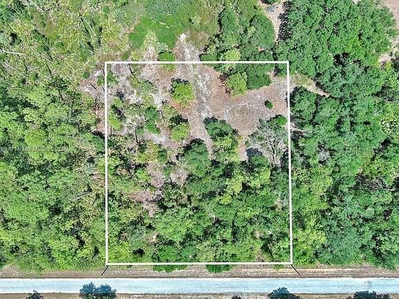 An aerial view shows a rectangular plot of land bordered by a road and trees — 1908 MCARTHUR AVENUE, LEHIGH ACRES, FL