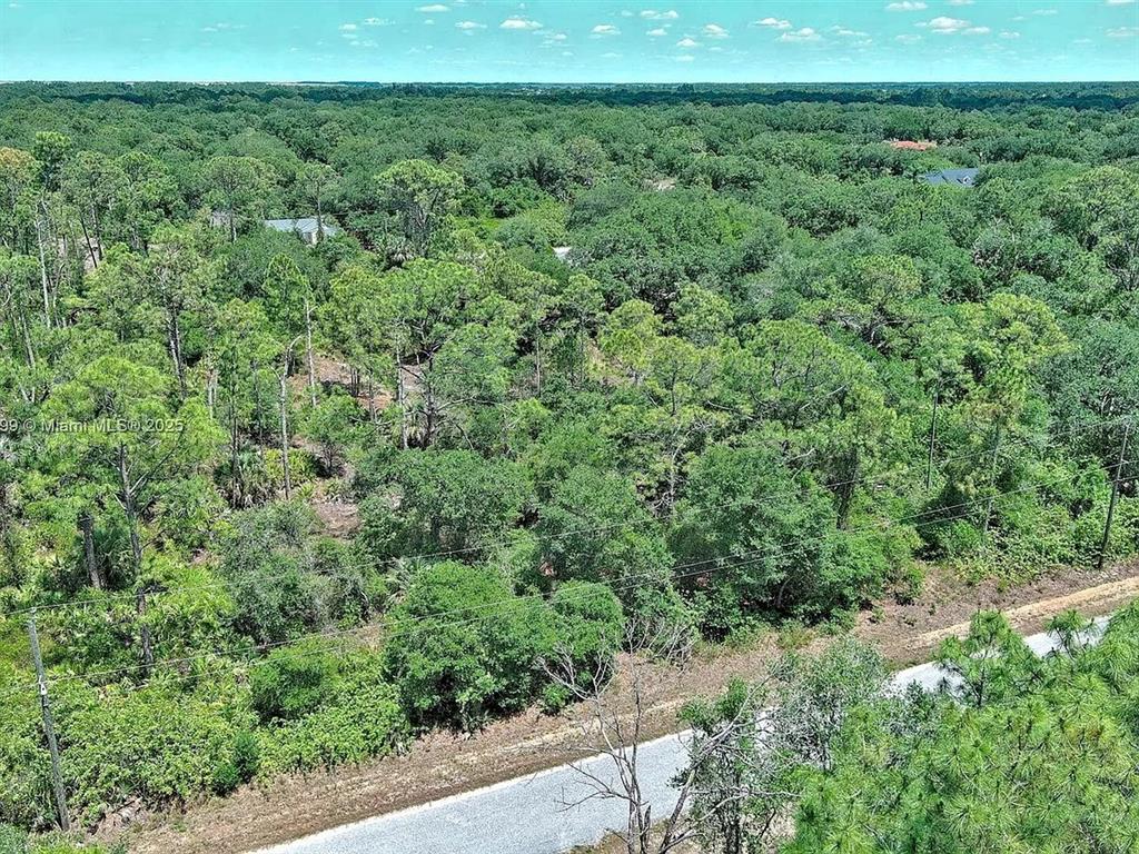 An aerial view shows a dense, wooded lot next to a paved road — 1908 MCARTHUR AVENUE, LEHIGH ACRES, FL