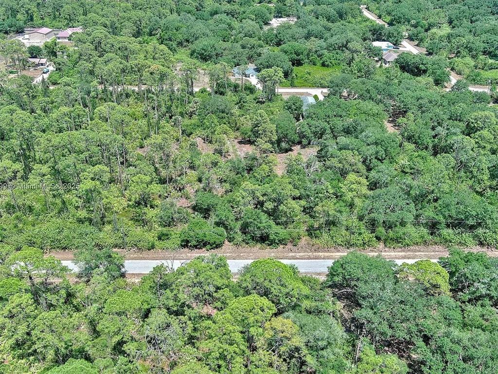 An aerial view shows a wooded lot with a paved road running through it — 1908 MCARTHUR AVENUE, LEHIGH ACRES, FL