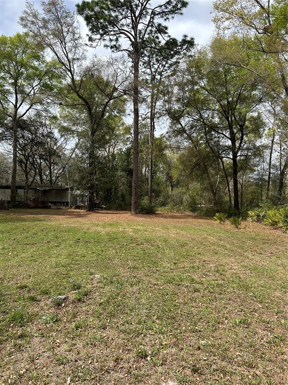 A grassy lot features several tall trees and a small structure in the background — 4TH STREET, ALTOONA, FL