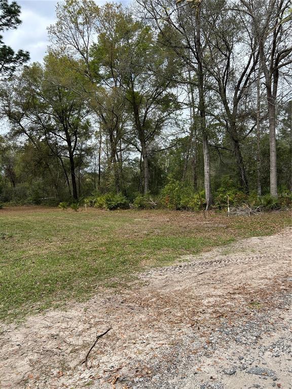 A grassy, undeveloped lot features scattered trees and a dirt path in the foreground — 4TH STREET, ALTOONA, FL