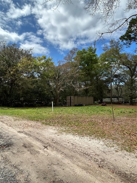 A vacant, grassy lot features a storage container and mature trees under a cloudy sky — 4TH STREET, ALTOONA, FL