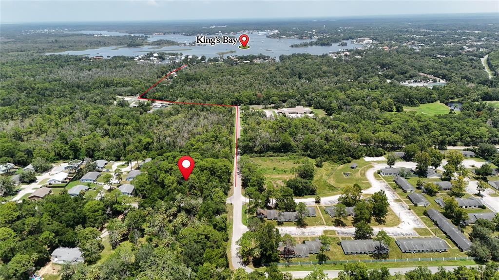 An aerial view shows a wooded lot marked with a pin near a residential area — 9981 W FANWOOD LANE, CRYSTAL RIVER, FL