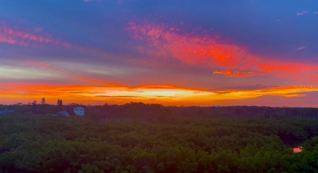 A vibrant sunset glows over a dense forest landscape with a distant white building — 244 MARINER DRIVE UNIT 244, TARPON SPRINGS, FL