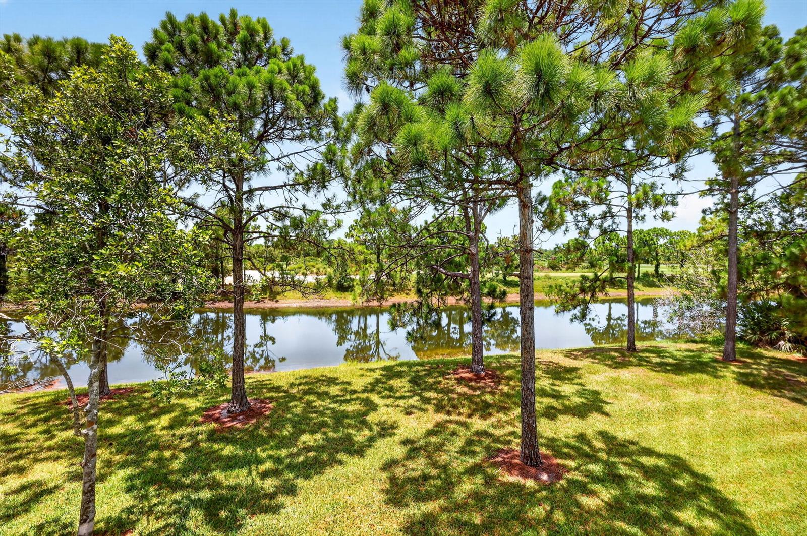 A grassy lawn with pine trees overlooks a calm pond on a sunny day — 8326 Mulligan Circle # 2123, FL 34986, FL