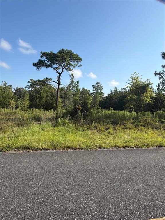 A paved road runs in front of a vacant, wooded lot under a blue sky — 35TH STREET, MORRISTON, FL