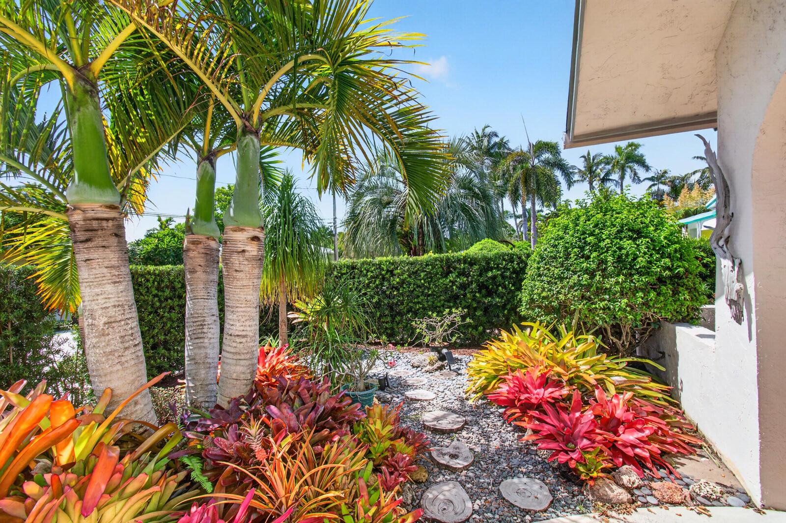 A tropical garden features palm trees, colorful bromeliads, and a stone path with wood rounds — 1315 N Lakeside Drive, FL 33460, FL