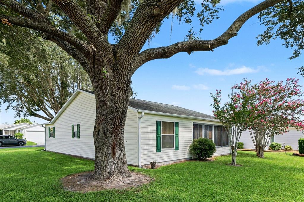 A large oak tree stands in the front yard of a single-story white house — 1501 LAS PACOS COURT, THE VILLAGES, FL