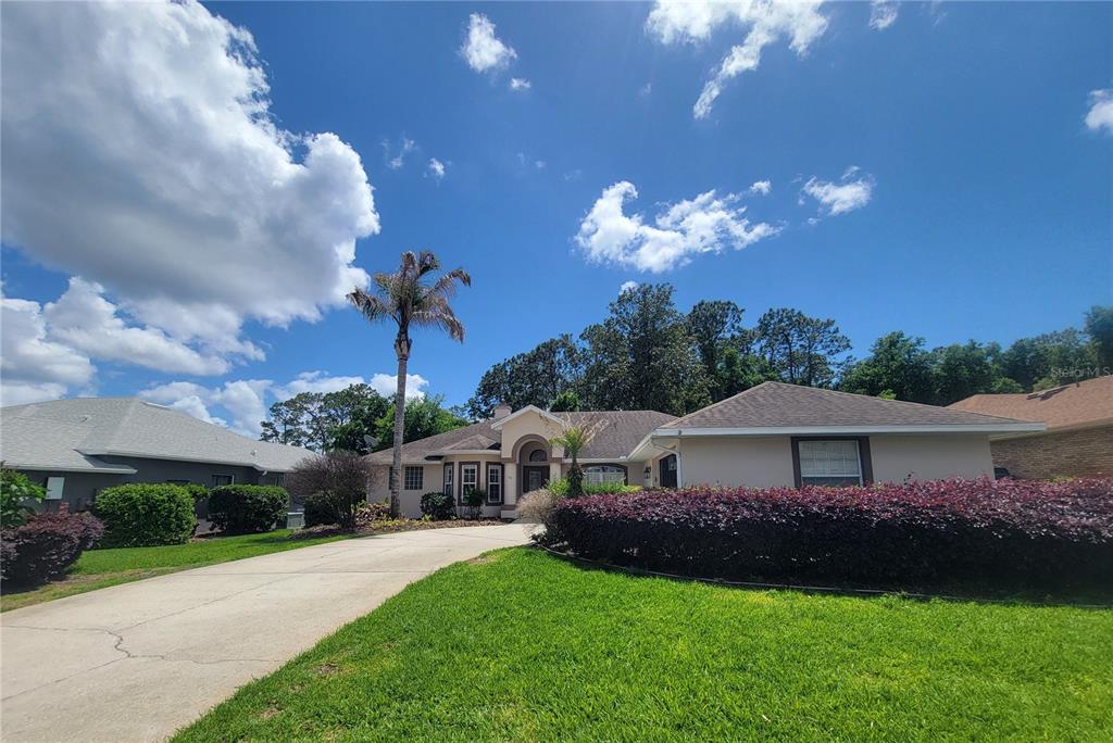 A single-story house with a beige exterior, a large hedge, and a palm tree — 119 BRANDIWOOD COURT, DEBARY, FL