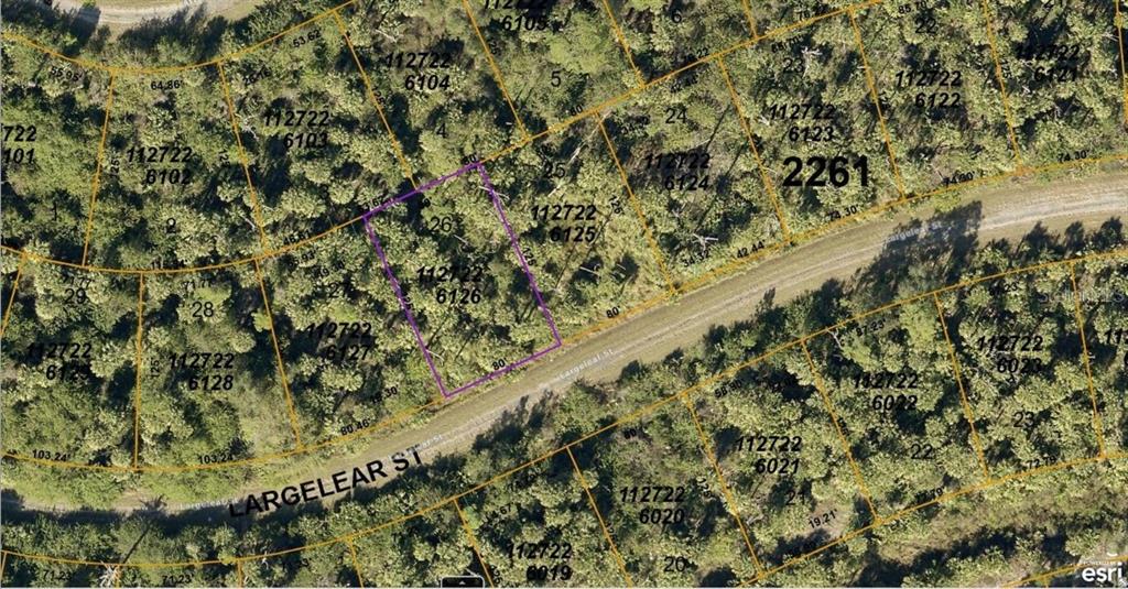 1127226126 LARGELEAF STREET