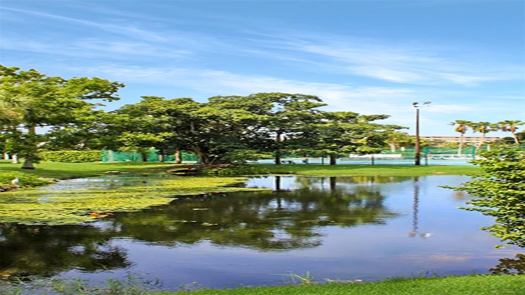A pond with lily pads sits in front of a large tree and tennis courts — 1272 SIESTA BAYSIDE DRIVE UNIT 1272-C, SARASOTA, FL