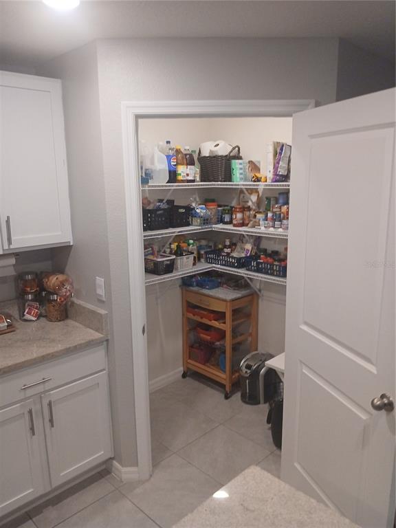 A walk-in pantry with wire shelving and a rolling wooden cart sits off a kitchen — 3719 CAPRI COAST DRIVE, PLANT CITY, FL