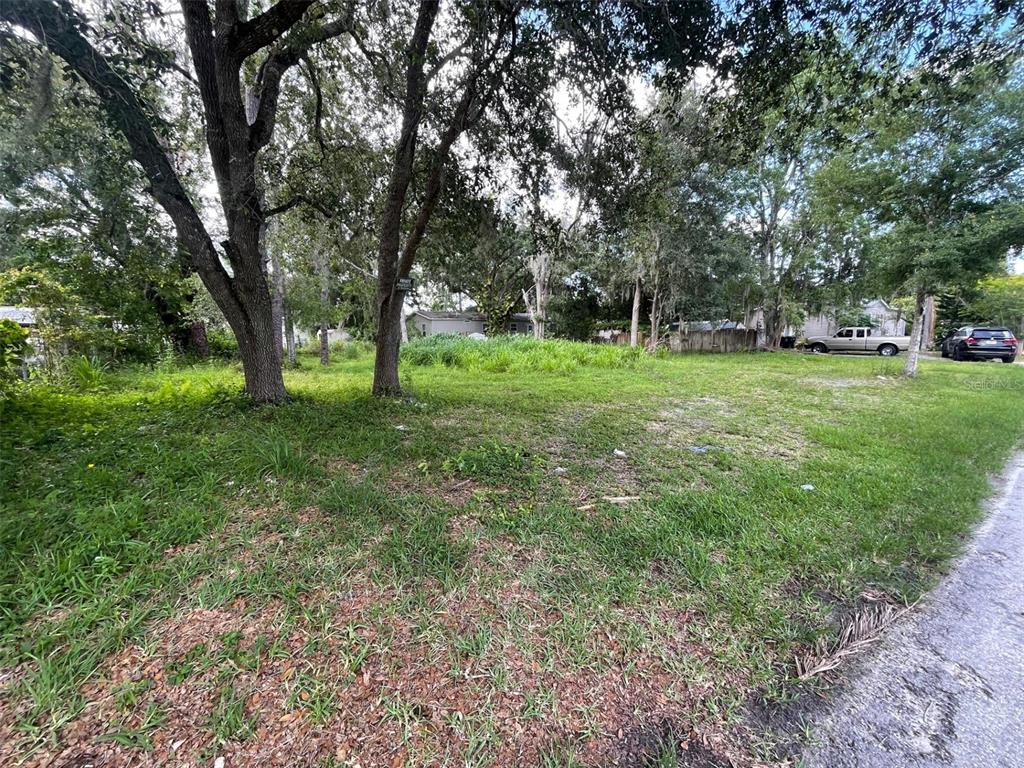 A grassy, tree-filled vacant lot sits alongside a paved road in a residential area — 18533 16TH AVENUE, ORLANDO, FL